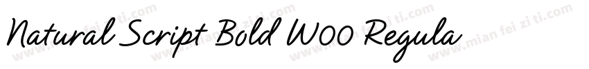 Natural Script Bold W00 Regular字体转换